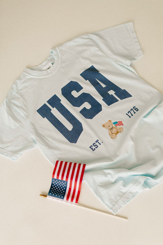 USA Teddy Bear Graphic Tee